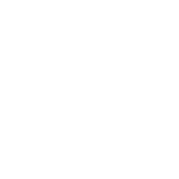 Kaizen DSP